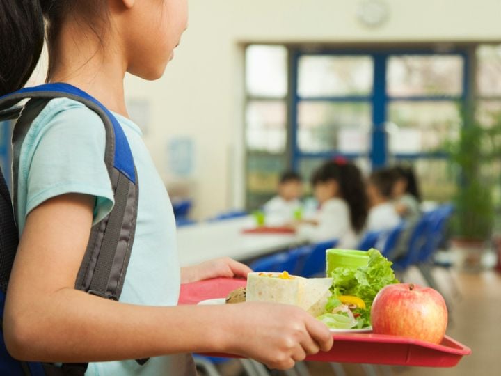 Colegios: nutrición, bienestar y sostenibilidad para un futuro brillante